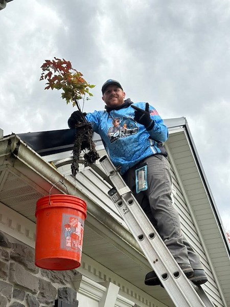 Why gutter cleans fail in south central pa overlooked pine needle clogs and local pitch issues